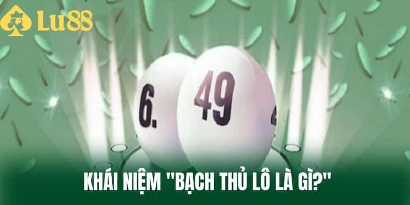  Khái Niệm "Bạch Thủ Lô Là Gì?"