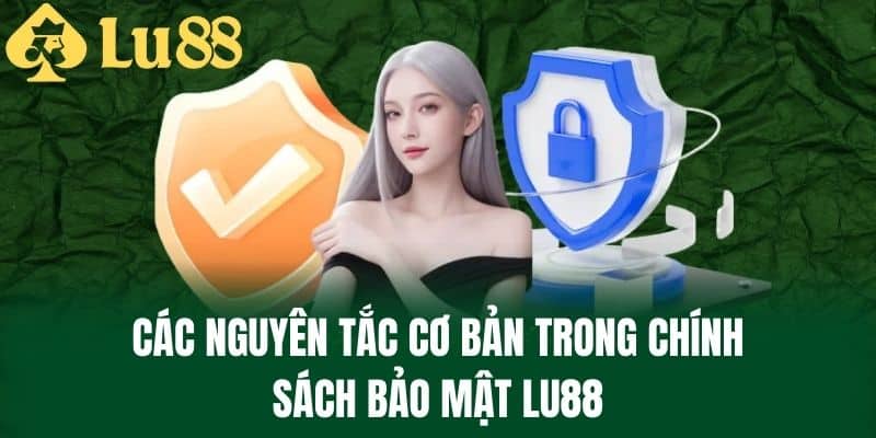 Các Nguyên Tắc Cơ Bản Trong Chính Sách Bảo Mật LU88