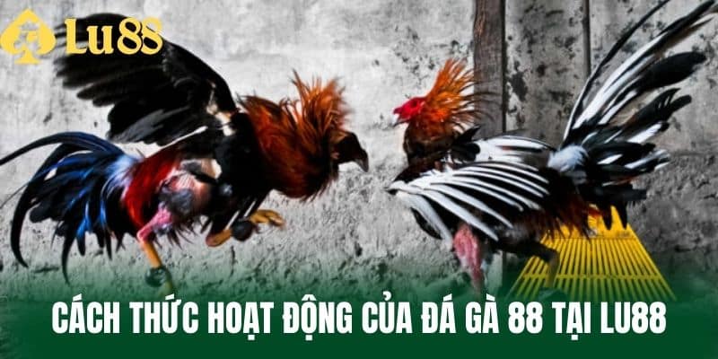 Cách Thức Hoạt Động Của Đá Gà 88 Tại LU88