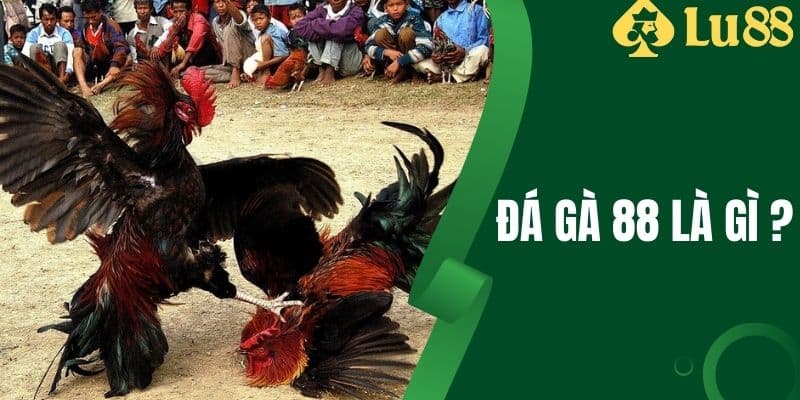 Đá Gà 88 Là Gì - Tìm Hiểu Cách Đặt Cược Hiệu Quả Tại LU88