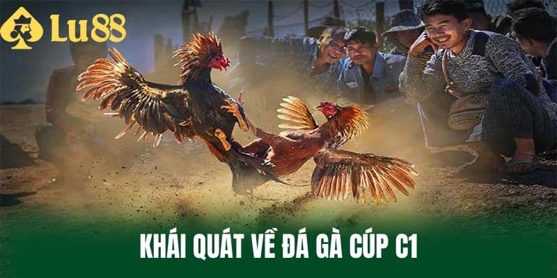 Khái quát về đá gà cúp C1