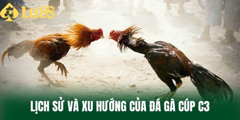 Lịch Sử Và Xu Hướng Của Đá Gà Cúp C3