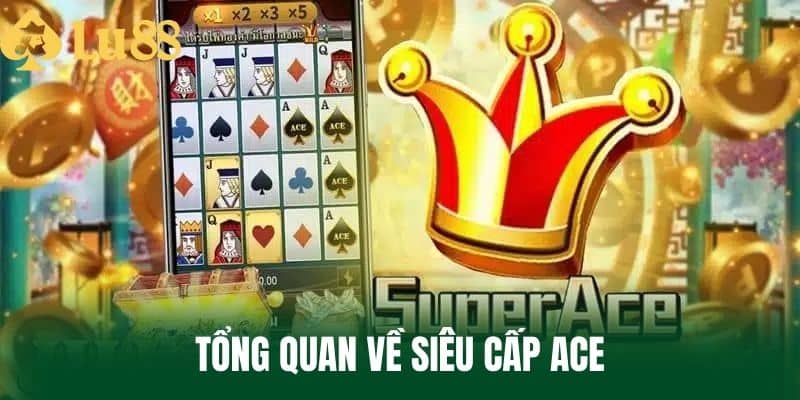 Tổng Quan Về Siêu Cấp Ace