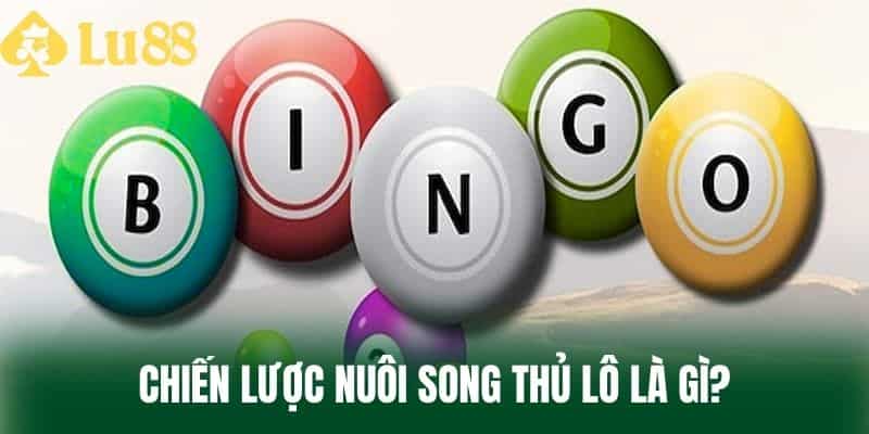 Chiến lược nuôi song thủ lô là gì?